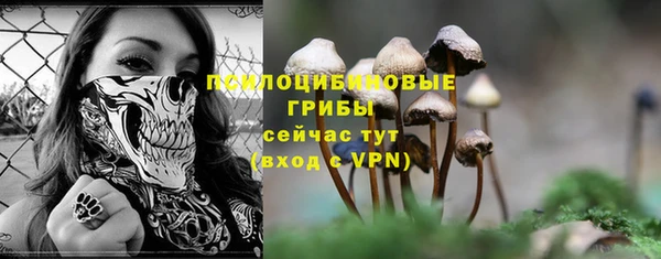mix Чегем
