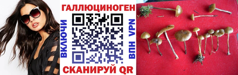 Галлюциногенные грибы Cubensis  Купить закладки  Печора 